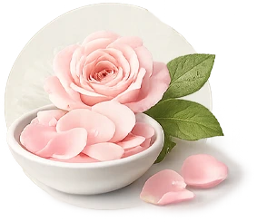 Rose Extract